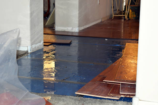 Professional Basement Flooding technician working in Volant, PA